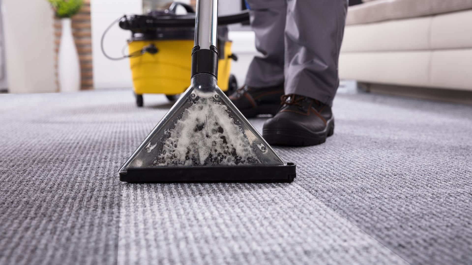 Carpet cleaning with professional equipment showing dirty water extraction
