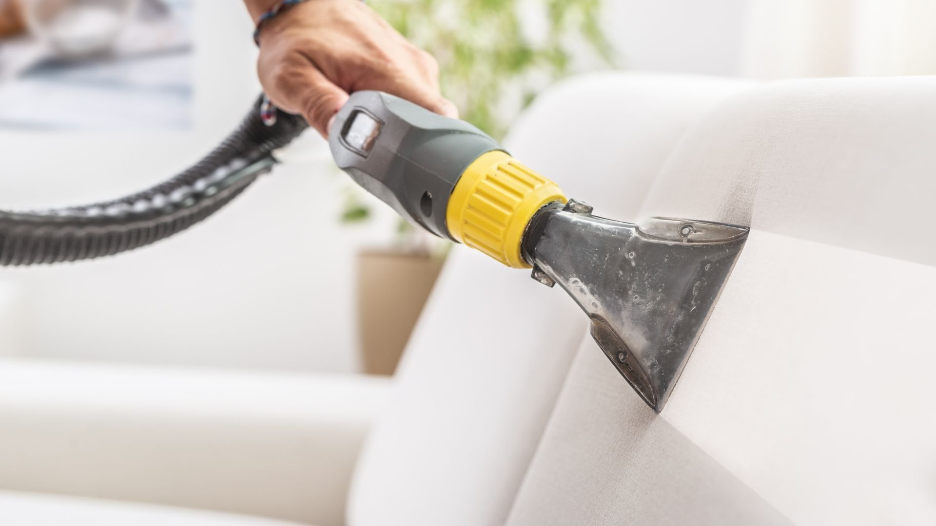 Cleaning upholstery with a professional carpet and furniture cleaning attachment